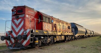 Un tren en Bombal: locomotora y vagones.
