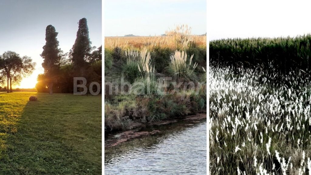 Paisajes de la zona de Bombal, por el Día Mundial del Medio Ambiente 2023.