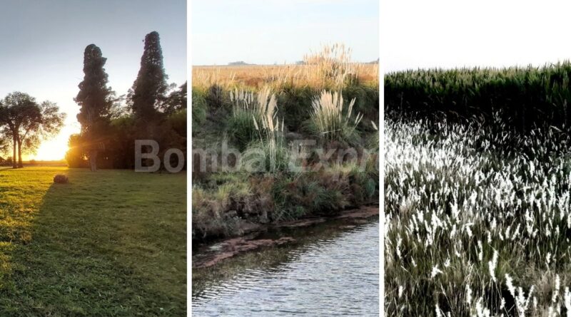 Paisajes de la zona de Bombal, por el Día Mundial del Medio Ambiente 2023.