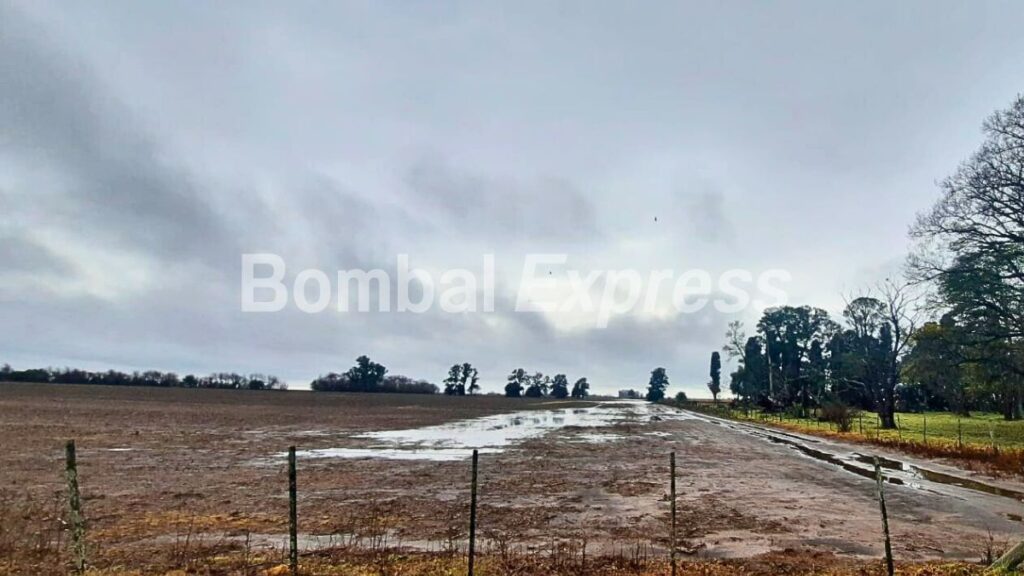 Llegó la lluvia a Bombal: un lote con agua acumulada.
