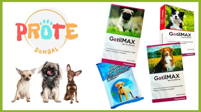 Pipetas gratis para perros, en Prote Bombal.