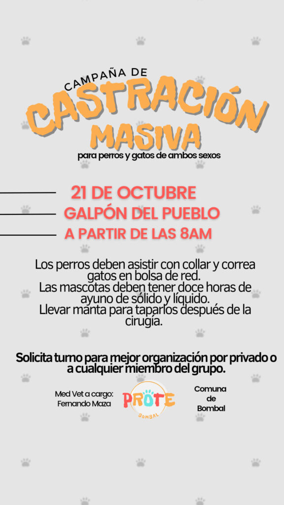 Afiche de la Campaña de Castración Masiva que se realizará el 21 de octubre.