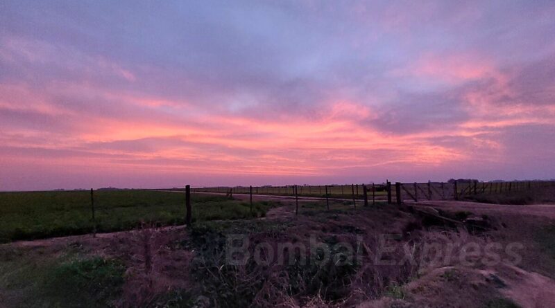 Atardecer en el campo, en la zona rural de Bombal.