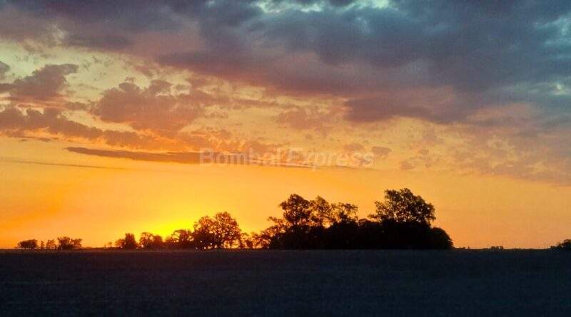Un hermoso paisaje de Bombal, en el atardecer de los llanos del sur de Santa Fe.