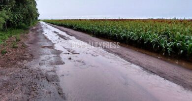 Con agua sobre el camino, el campo después de la lluvia en la zona de Bombal.