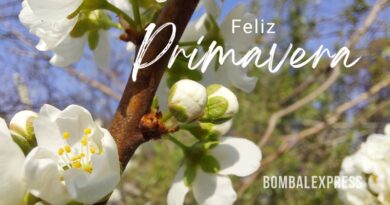 Las flores lo expresan: ¡Feliz Primavera!