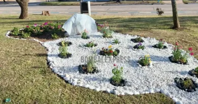 Cantero nuevo con flores en la Plaza 9 de Julio, en Bombal.