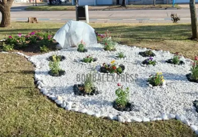 Cantero nuevo con flores en la Plaza 9 de Julio, en Bombal.